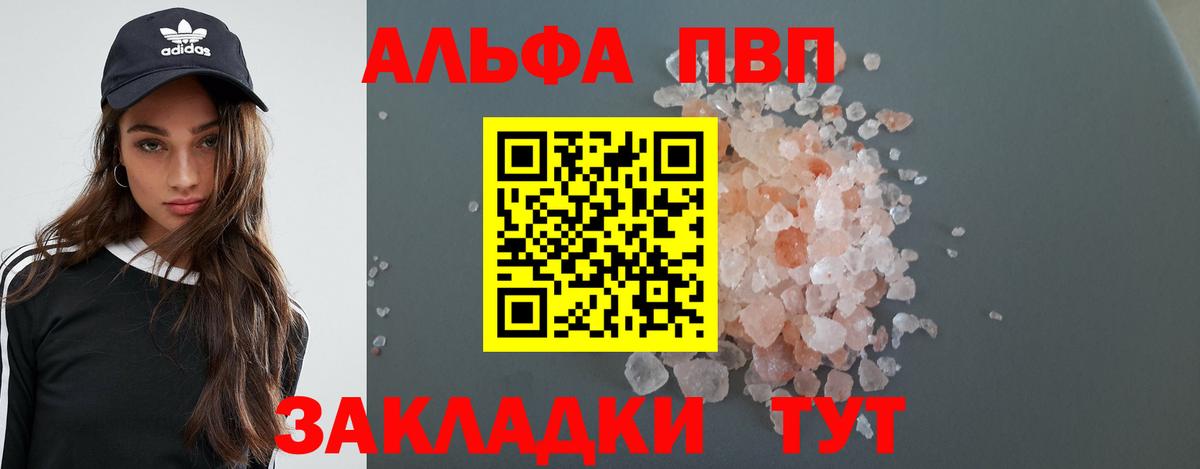 Альфа ПВП СК Камень-на-Оби