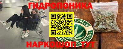 меф Кингисепп
