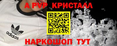 меф Кингисепп