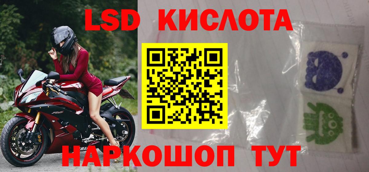 Камень-на-Оби  ЛСД экстази кислота  Вход с VPN  Лсд 25 экстази кислота 