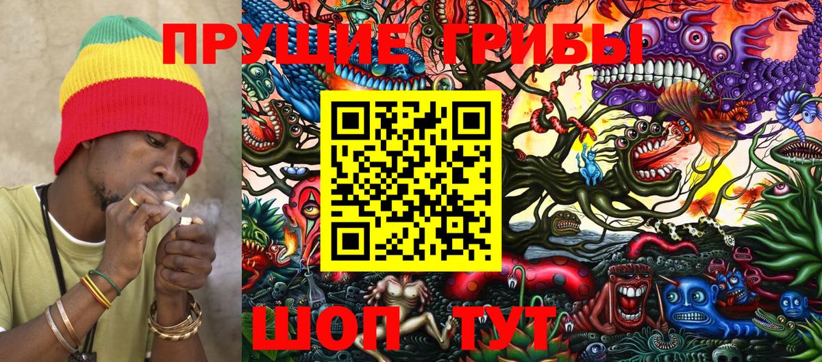 Галлюциногенные грибы прущие грибы  Вход с VPN  Камень-на-Оби 